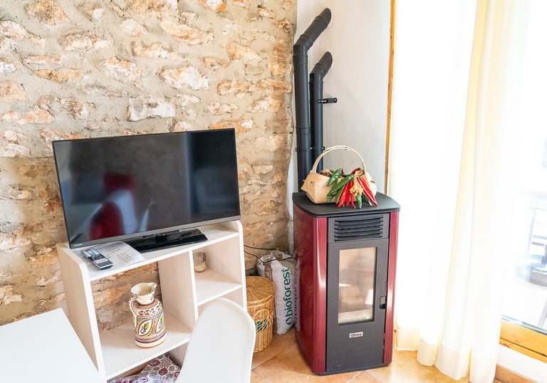 Televisión y estufa en la sala de estar de Carmens Rural, Sant Jordi