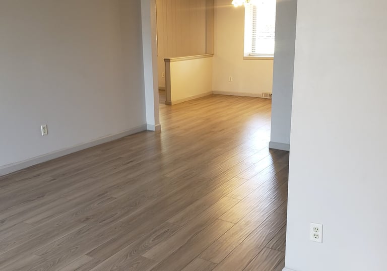 Newly remodeled house. New final point flooring. New painted walls