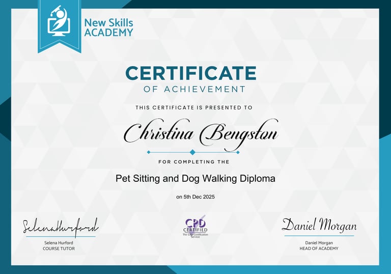 A certificate from the New Skills Academy awarded to Christina Bengston