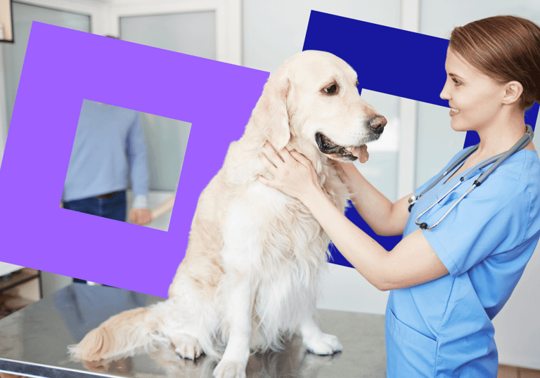 vets energy broker