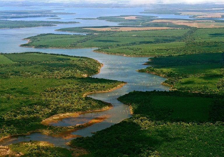 Esteros del Ibera - Wetlands in Corrientes