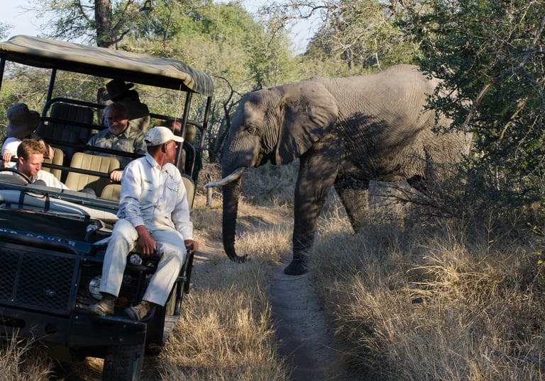 Tourists on a Safari in South Africa