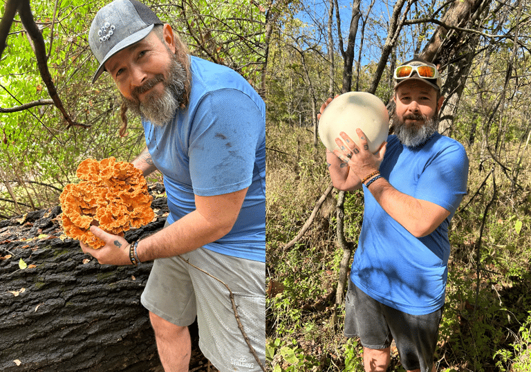 chicken-of-the-woods-and-puffball-mushrooms