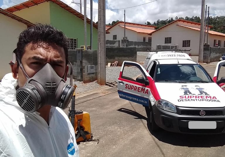 dedetização