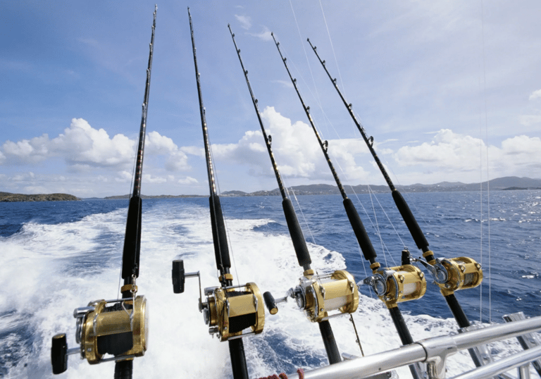 a group of fishing rods on a boat