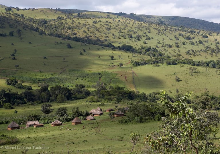 Après le voyage, suivi et transparence