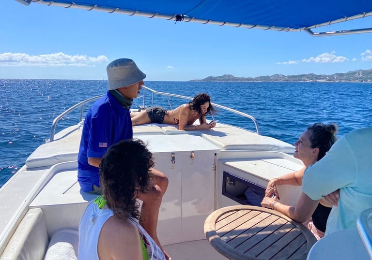 Marine life in San José del Cabo