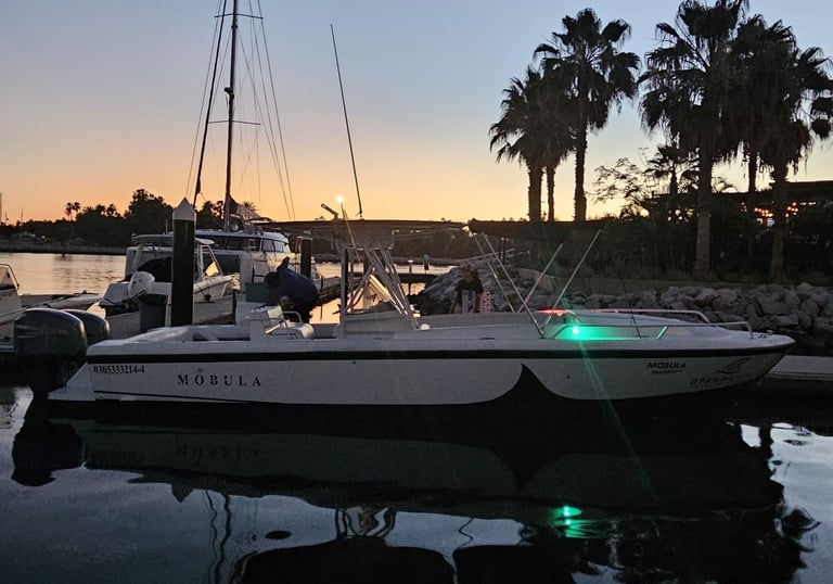 Golden hour boat tour in Los Cabos