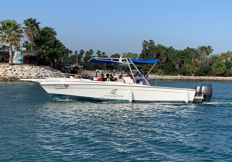 Private boat snorkeling tour in San José del Cabo