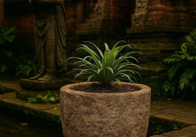 Arcanum Limestone Pot Collection