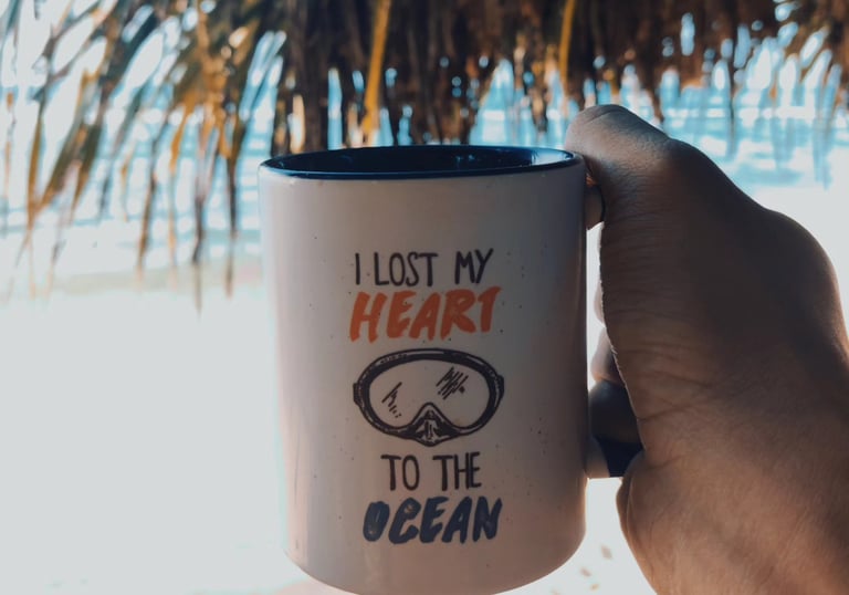 polhena diving merch