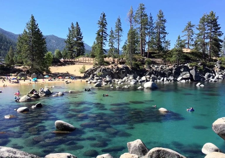 top dog friendly beaches north lake tahoe
