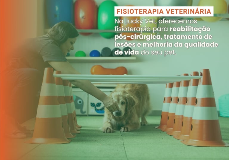 Fisioterapia Veterinária é na Lucky Vet, Pet Shop e Clínica Vererinária na Zona Norte de São Paulo