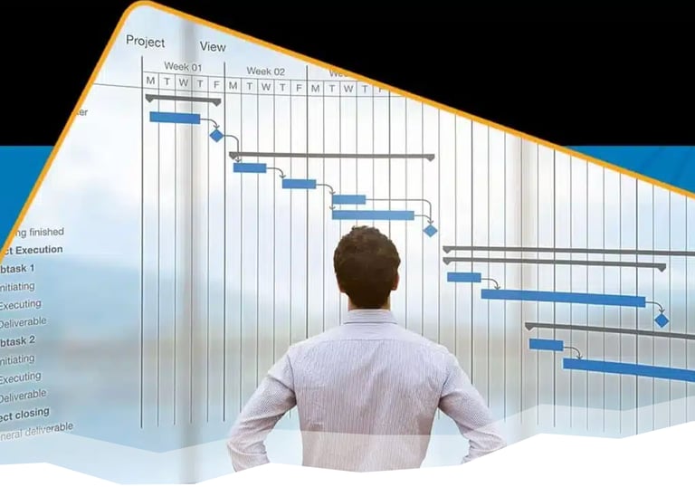 a man standing in front of a large screen with a diagram of a project execution plan.