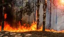 Rush fire, homeowners insurance, wildfire, high-risk