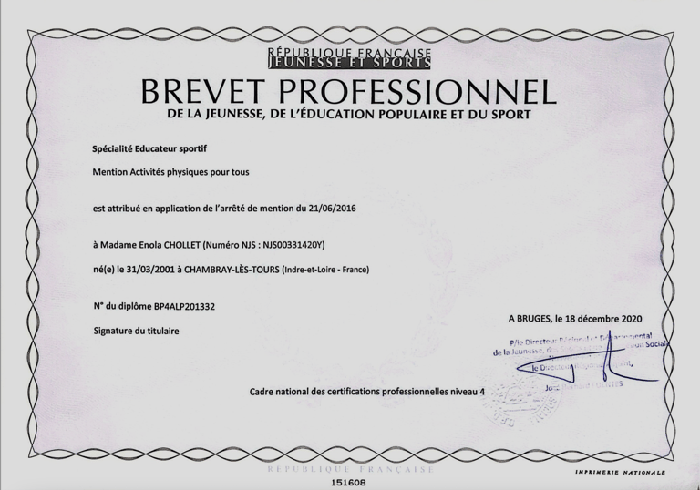 Diplôme Brevet Professionnel de la Jeunesse de l'Éducation Populaire et du Sport APT