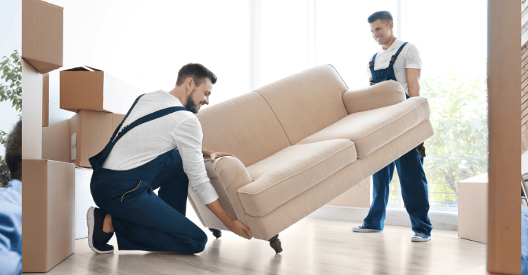 Profesionales de Mudanzas