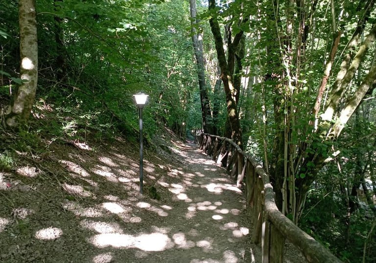 Sentiero di montagna con staccionata di legno sulla destra e lampioni sulla sinistra
