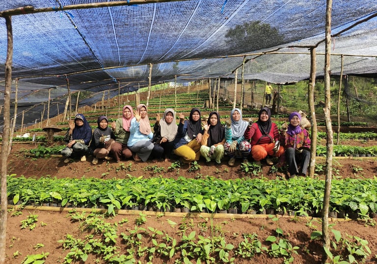 a group of people standing in a field with pumpkins