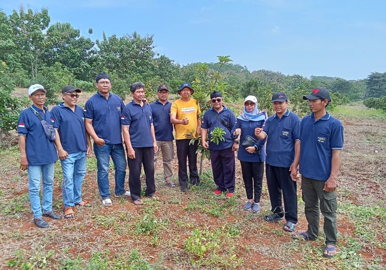 outbond di kebun alpukat
