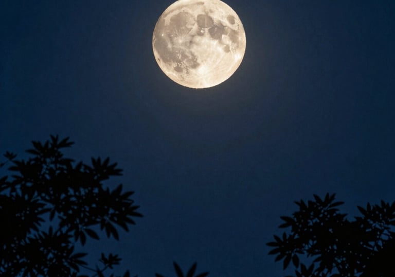 Hands gently holding a glowing orb, representing spiritual guidance and healing.