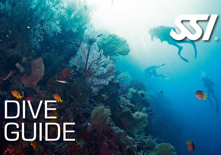 Dive Guide führt Tauchgruppe an Specialdive