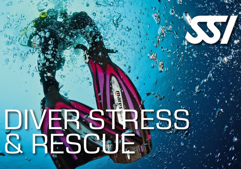 Flossen die nach oben Gehen