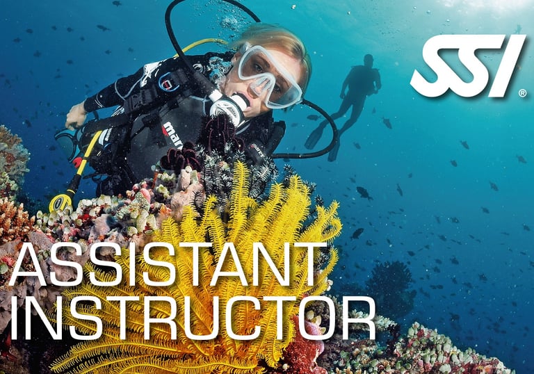 Taucher über einer gelben Koralle