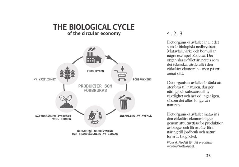Diagram av det organiska kretsloppet i cirkulär ekonomi med nedbrytning och näring till nya växter.