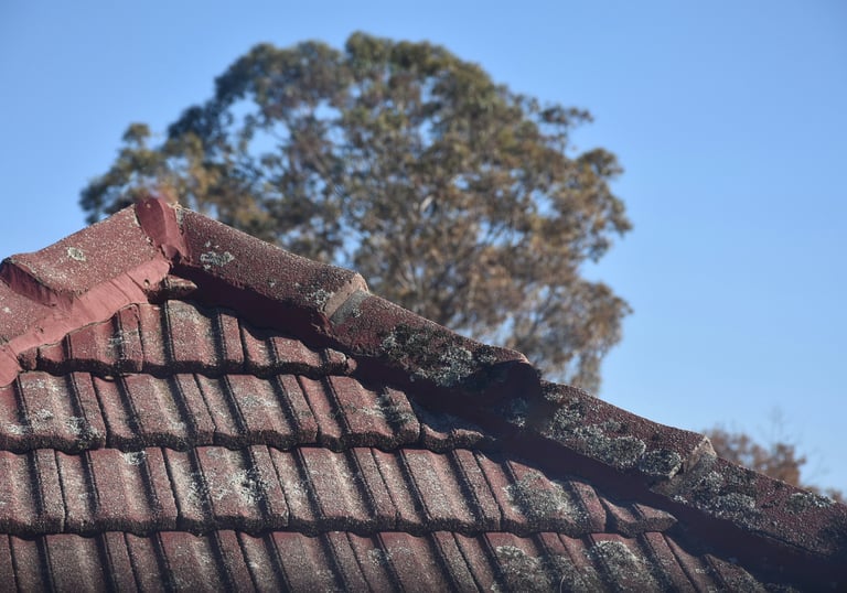 Aerial roof image showing tiles, chimney, and elevation overview