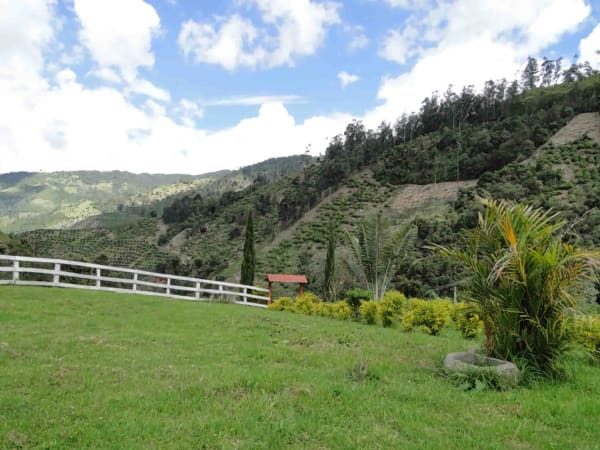 Finca en la cordillera de los andes Cajamarca Tolima