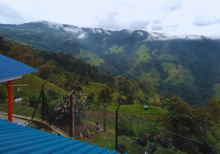 Paisaje Finca Agroturistica cordillera de los andes Cajamarca, Tolima, Colombia