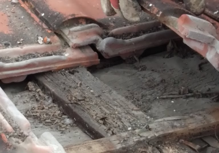 Близък план на изгнили дървени летви под покривни керемиди, които се подменят от Hedgie Wilder