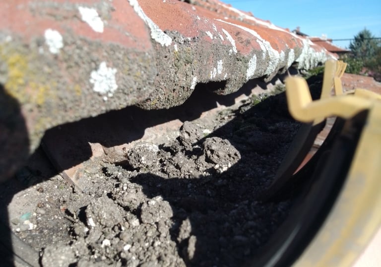 Улук, пълен с пръст и отпадъци преди почистване, представящ общите ремонтни дейности Hedgie Wilder