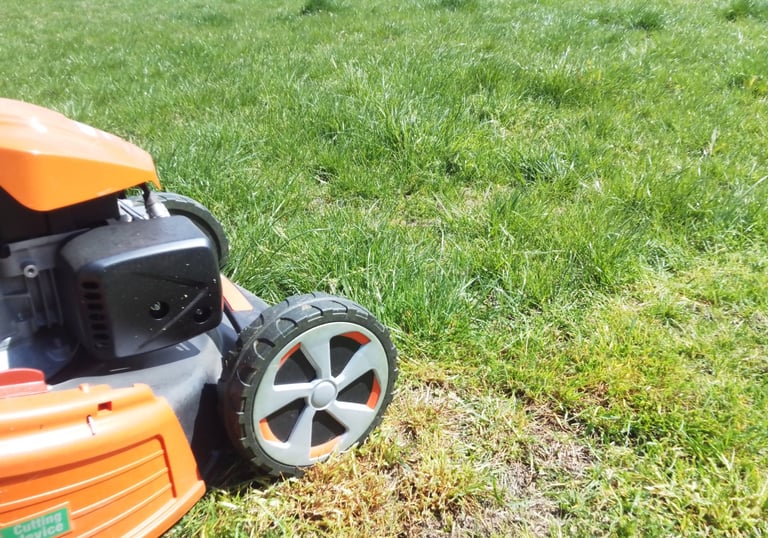 Косене на трева от Хеджи Уайлдър в Куртово Конаре — професионално окосена тревна площ с гладък, подр