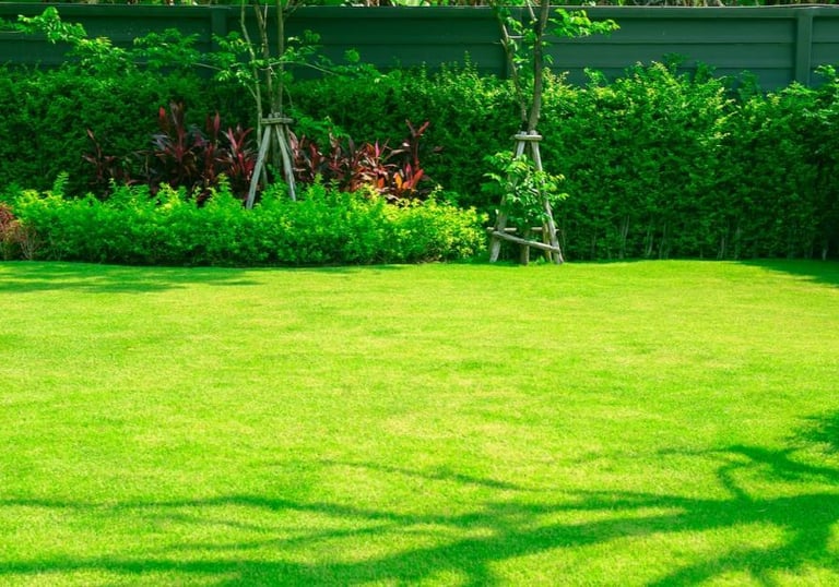 A healthy, vibrant lawn with thick green grass three months after being reseeded in Maritsa, Plovdiv