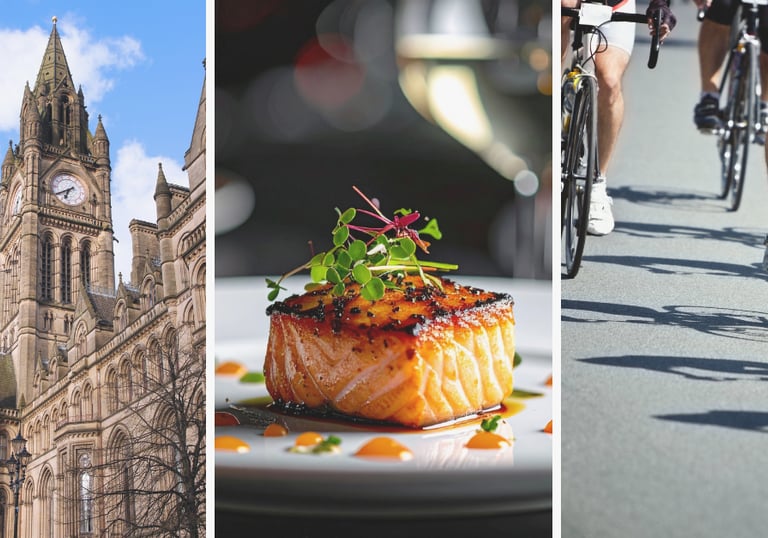 Reason Marketing Marketing Consultant Suffolk