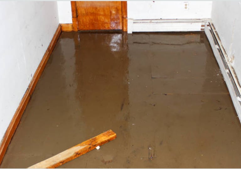 Flooded Basement