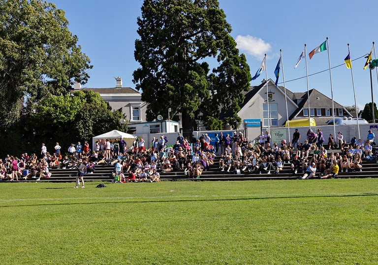 Spectators watching from the steps in Kilmacud Crokes Glenalbyn