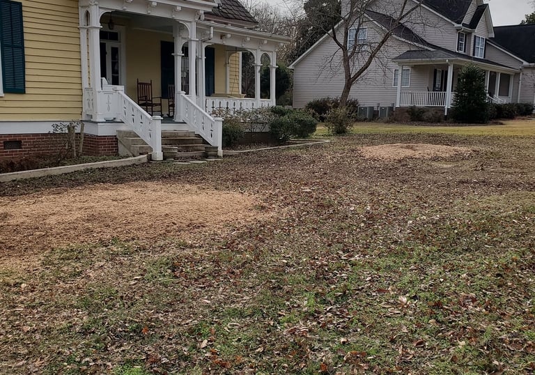 Stump No More Stump Grinding After