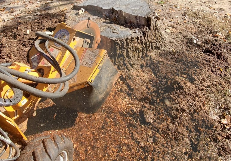 Stump No More Stump Grinding ready