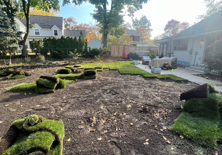 Fresh rolls of green sod being installed on a prepared dirt backyard for new lawn landscaping.