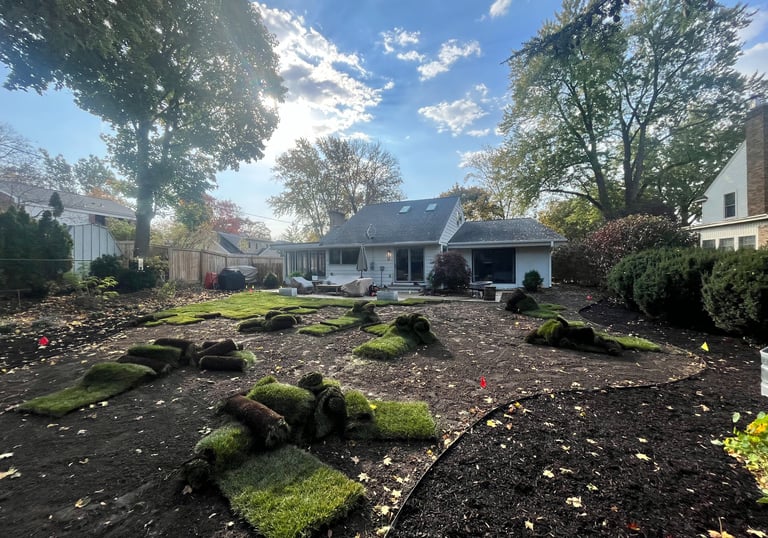 Residential backyard lawn renovation with new grass sod rolls being installed on fresh soil.