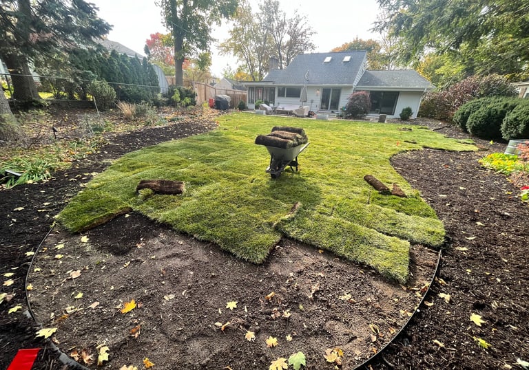 Professional residential sod installation in a backyard with fresh green grass rolls and landscaping tools.