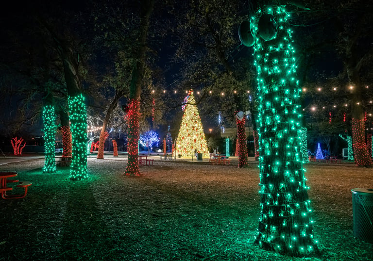 A large outdoor Christmas tree surrounded by trees wrapped in green and red holiday lights at night.