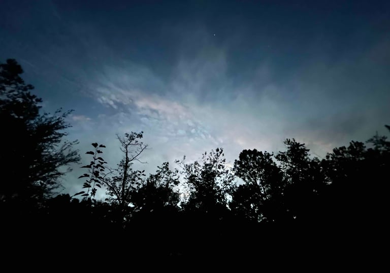 a night sky with a few clouds and trees