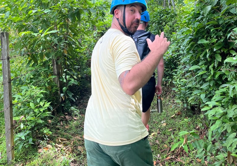 randonnée dans la jungle du parc national de Phong Nha-Khe Bang