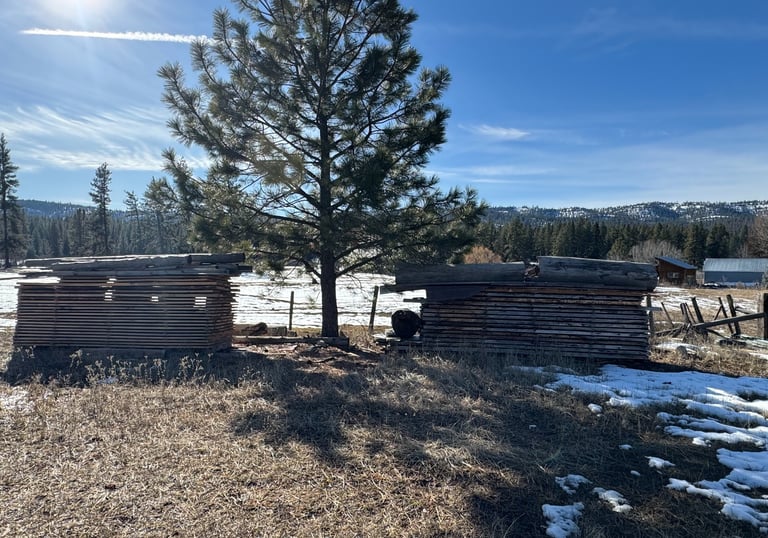 units of lumber drying naturally