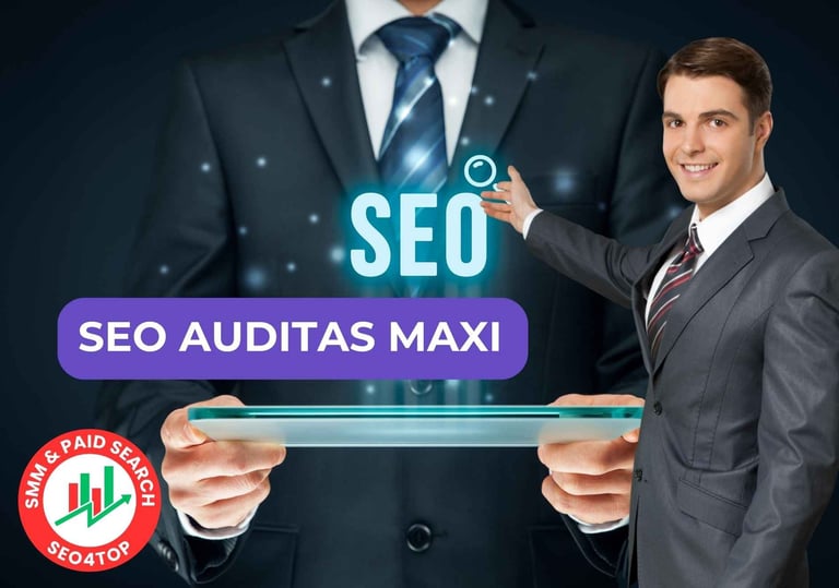 SEO auditas MAXI