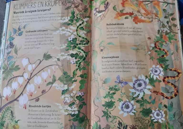 Pagina uit boek van review met bloemen en tekst voor kinderen